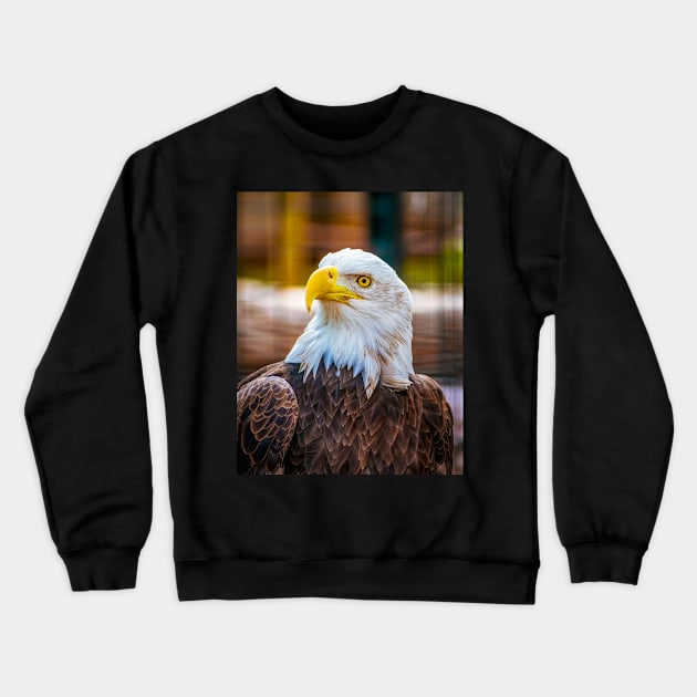 Bald Eagle Crewneck Sweatshirt by SAINTSPHOTOS